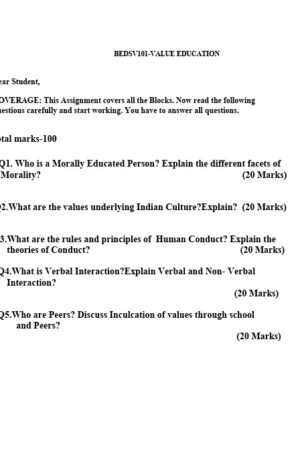 BEDSV - 101 EM Solve Assignment 2025